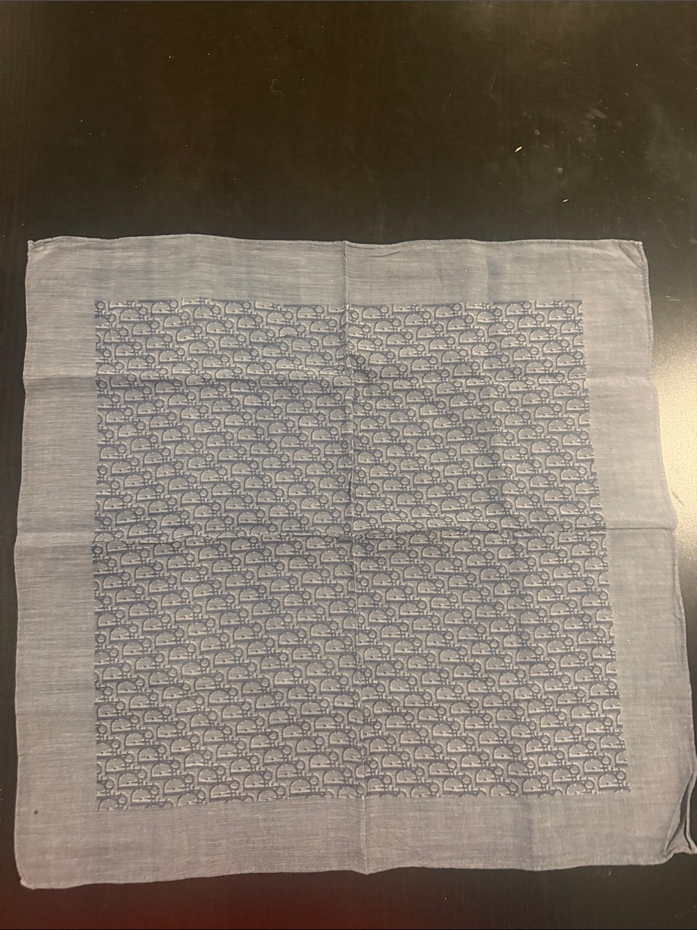 Dior Light Blue Monogram cotton -Blend Scarf